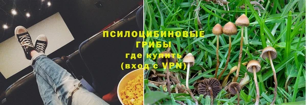метадон Липки