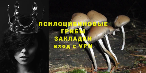 метадон Липки