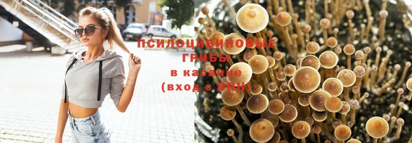 метадон Липки