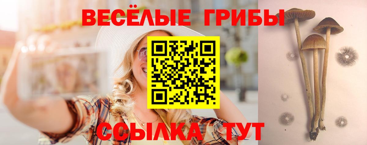 Псилоцибиновые грибы MAGIC MUSHROOMS  Вход с VPN  Галлюциногенные грибы мухоморы  Обнинск 