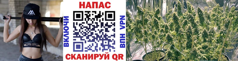 Шишки марихуана индика цена наркотик Обнинск